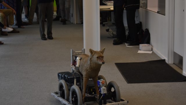 Robotic Coyote Demonstation