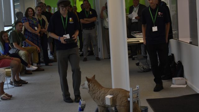 Robotic Coyote Demonstation