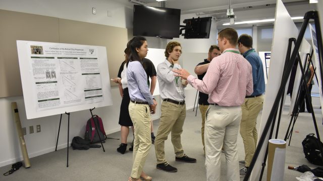 Students talking around posters