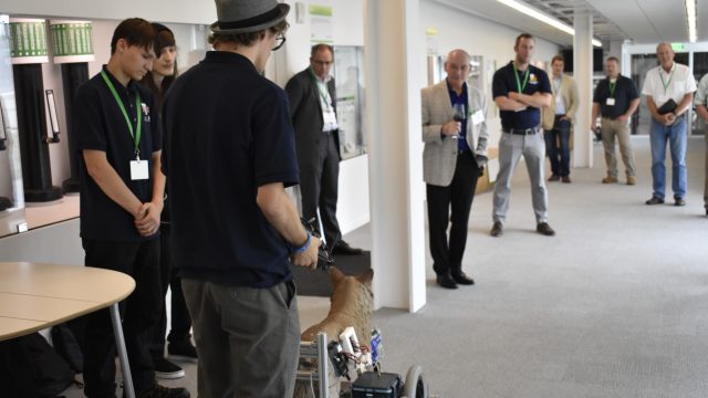 Robotic Coyote Demonstation