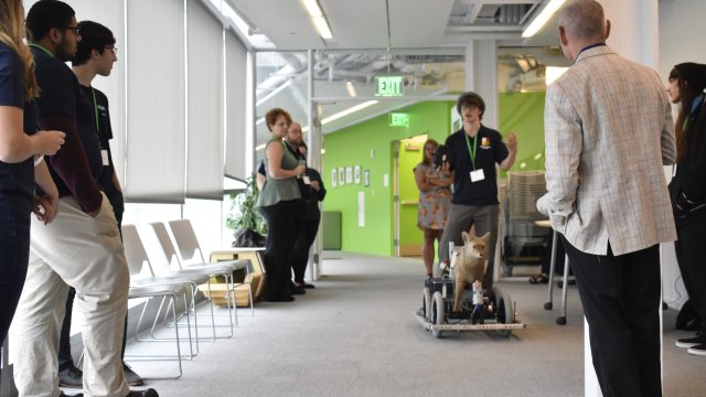 Robotic Coyote Demonstation