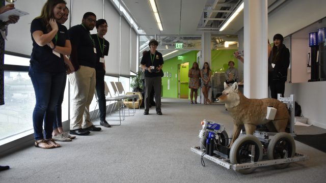 Robotic Coyote Demonstation