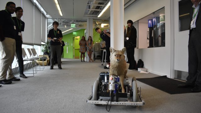 Robotic Coyote Demonstation